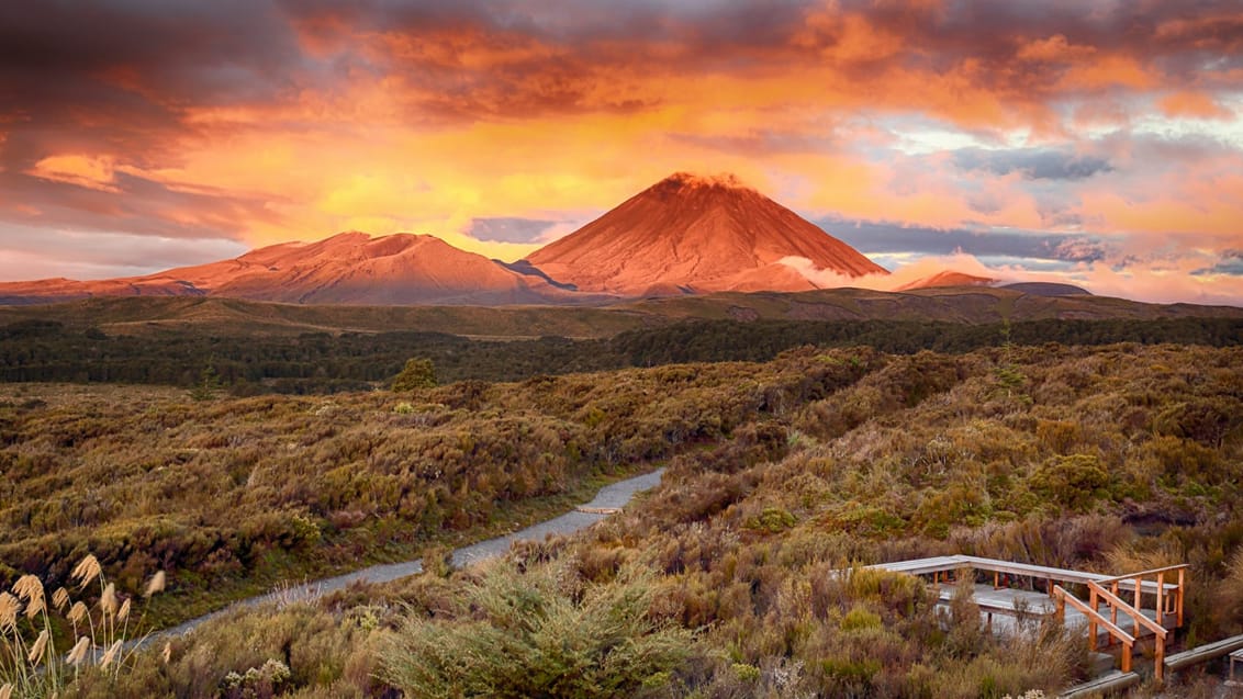 Solnedgang over Mount Ngauruho