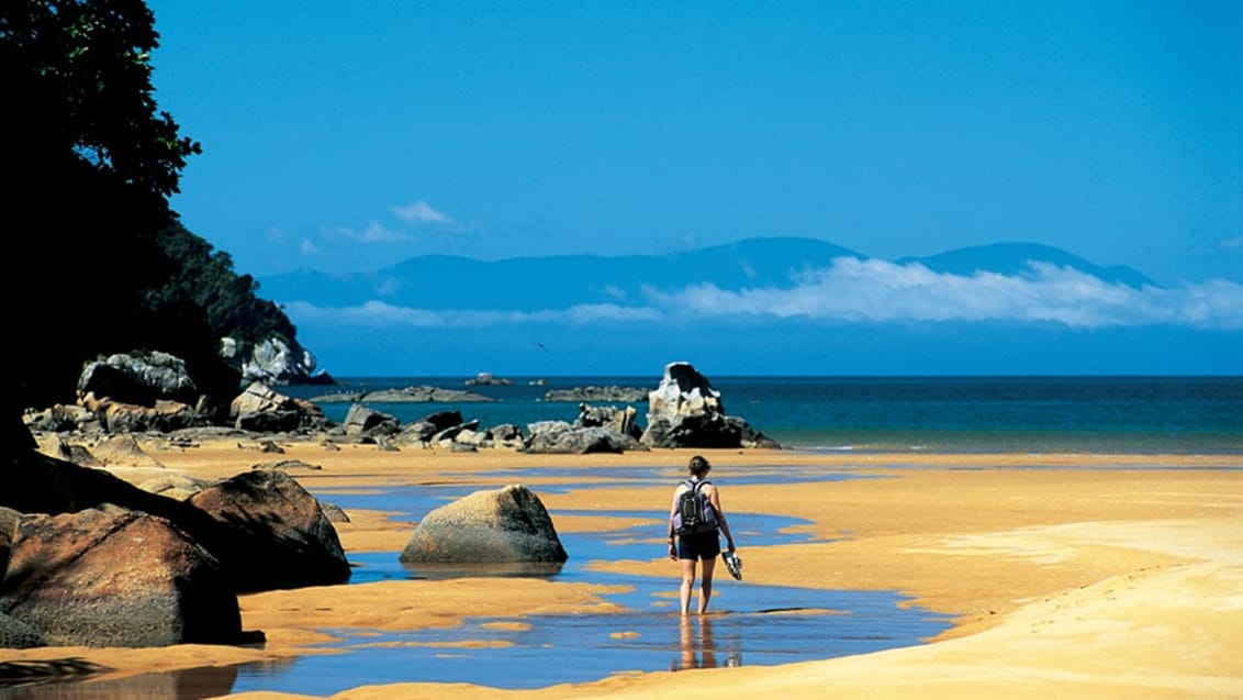 Onetahuti, Abel Tasman, New Zealand