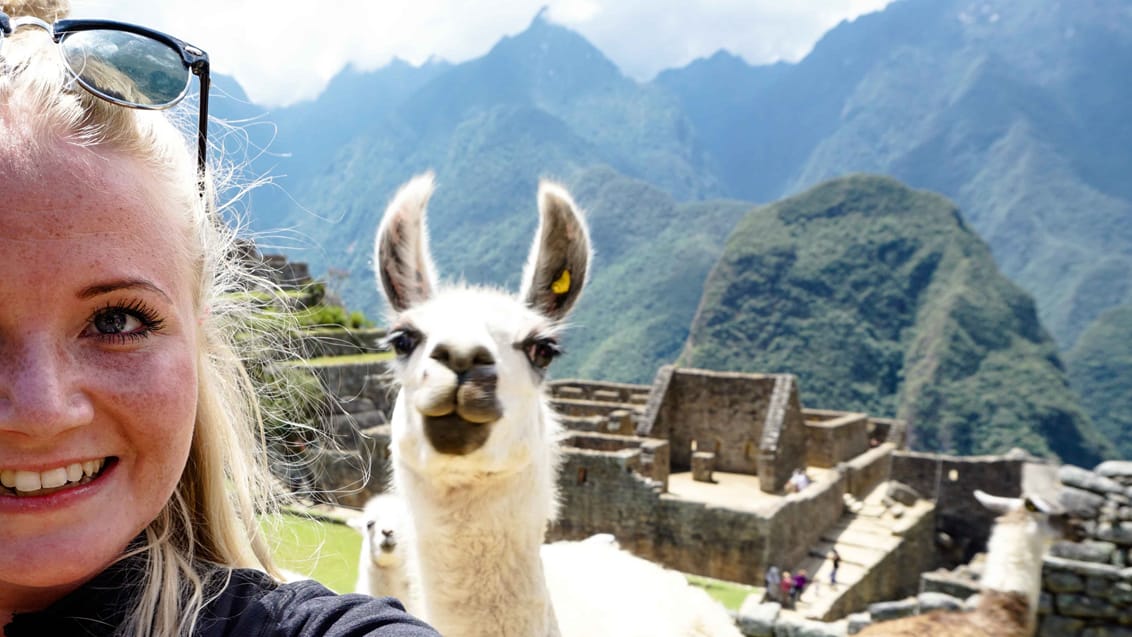 Lama-selfie!!!