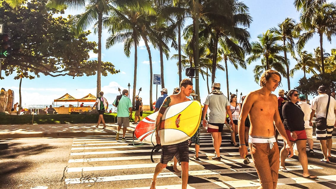 Lev surferlivet blandt lokale på Hawaii