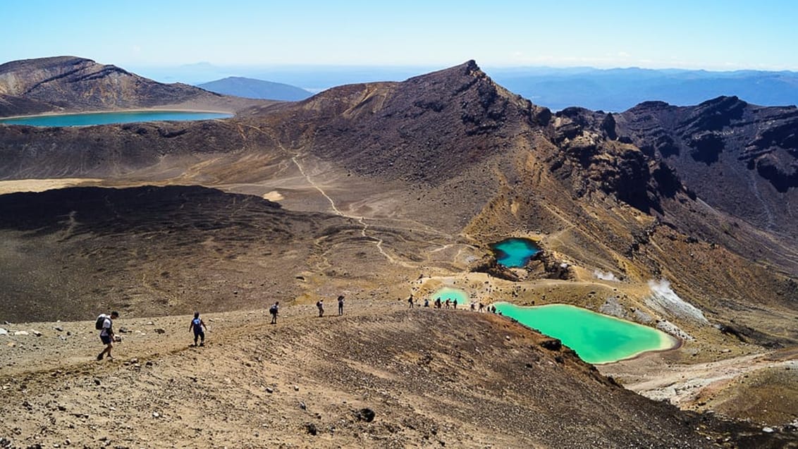 Tongariro Crossing betragtes som det absolut bedste dagstrek i New Zealand