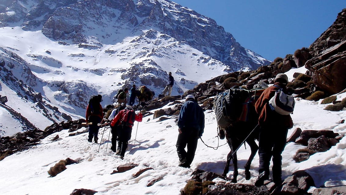 Trekking Mt. Toubkal, Atlasbjergene, Marokko