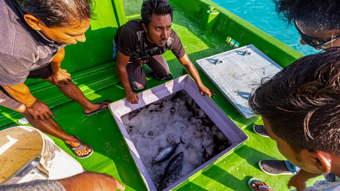 Mød de lokale i øjenhøjde på Dhiffushi