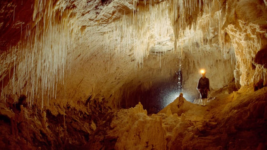 Waitomo, New Zealand