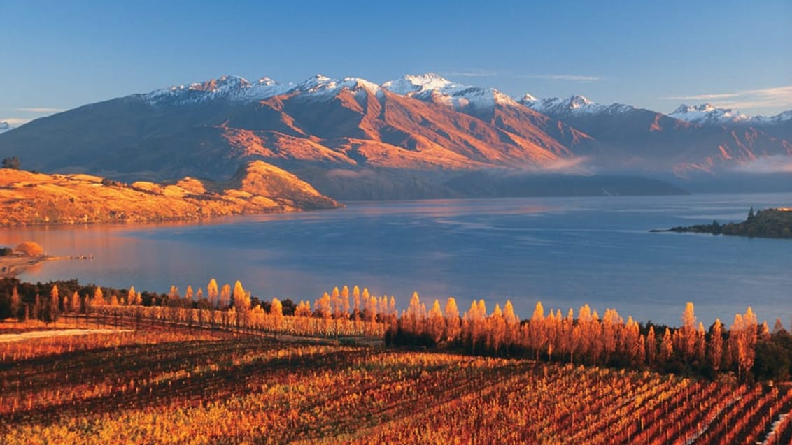 Lake Wanaka, New Zealand