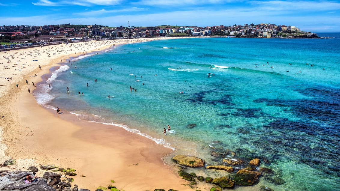 Den verdensberømte Bondi Beach i Sydney