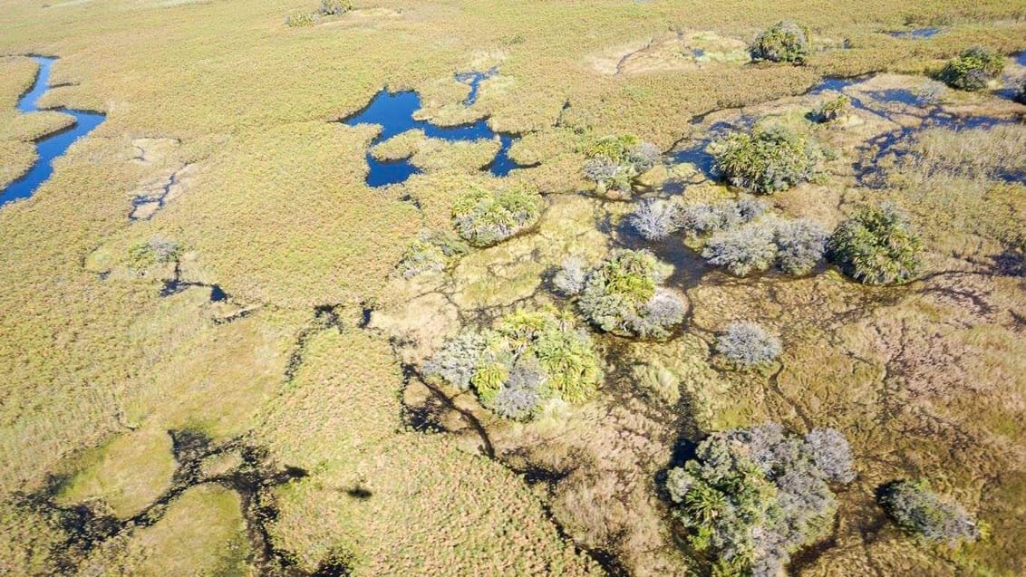 Okavango Deltaet set fra oven fra helikoptertur