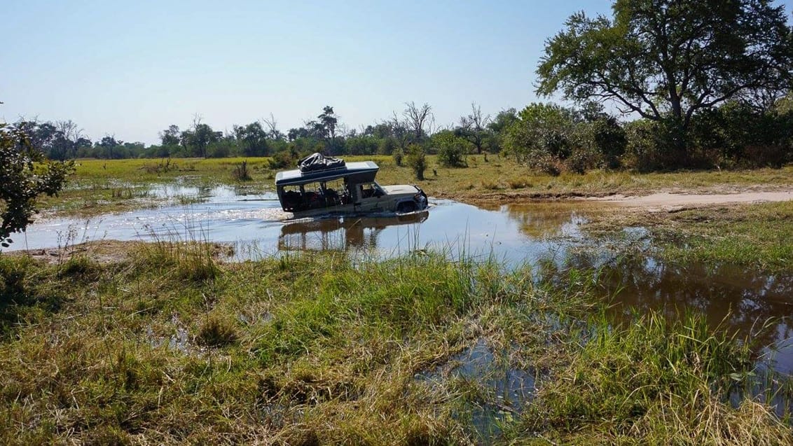 Turen gennem Botswana er essensen af en Mærk Verden oplevelse