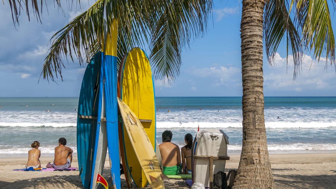 Canggu Surf Bali