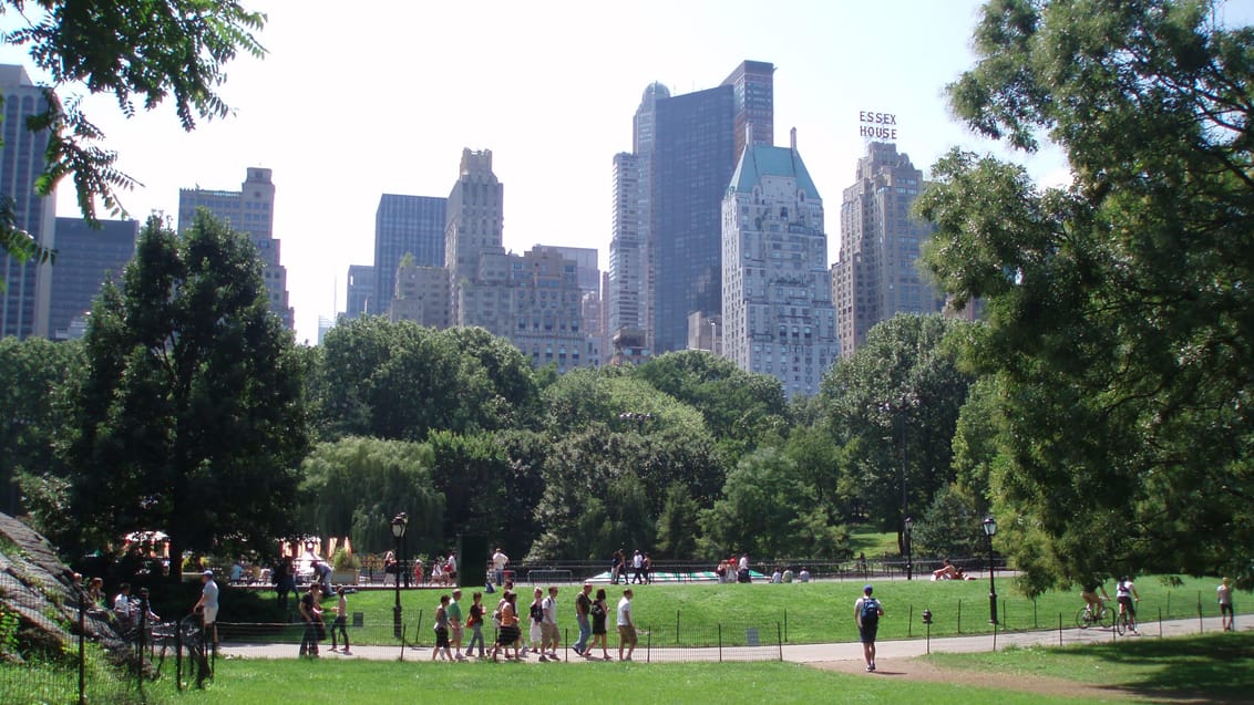 Central park