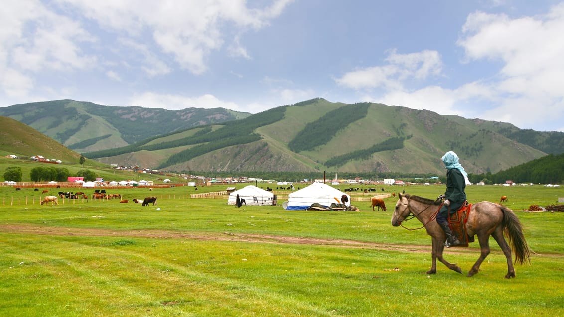 Hesteridning i Terelj Nationalpark, Mongoliet