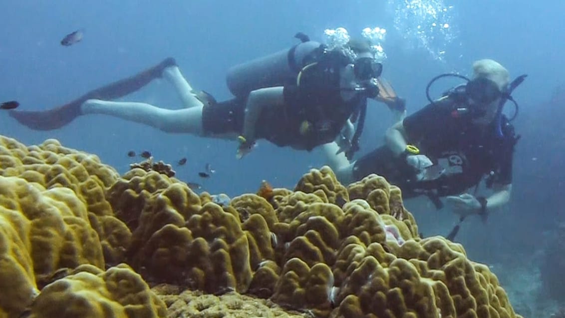 koh tao dykning rené