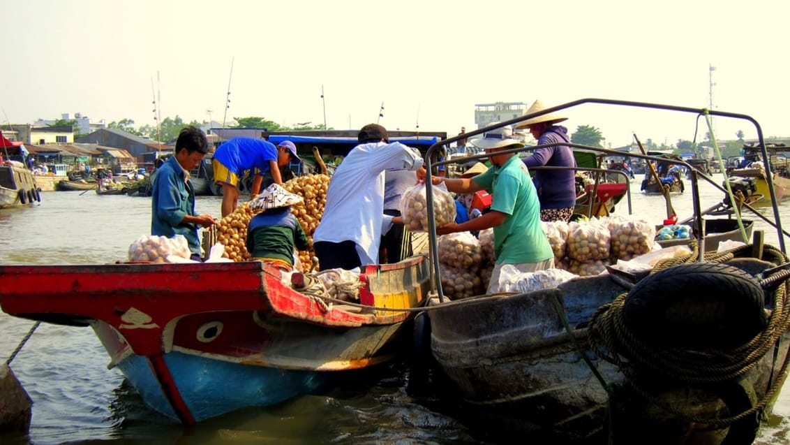 Mekong delta marked