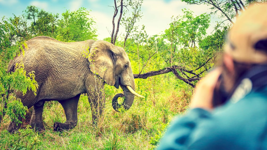 På safaritur fra Mpala Safari Lodge