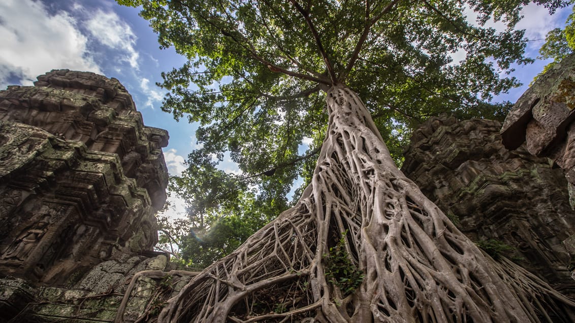 Siem Reap