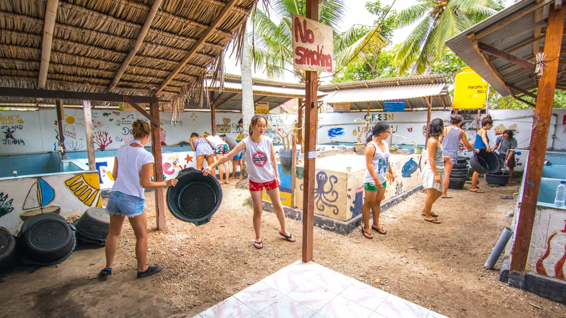 Skildpadde projekt, Indonesien