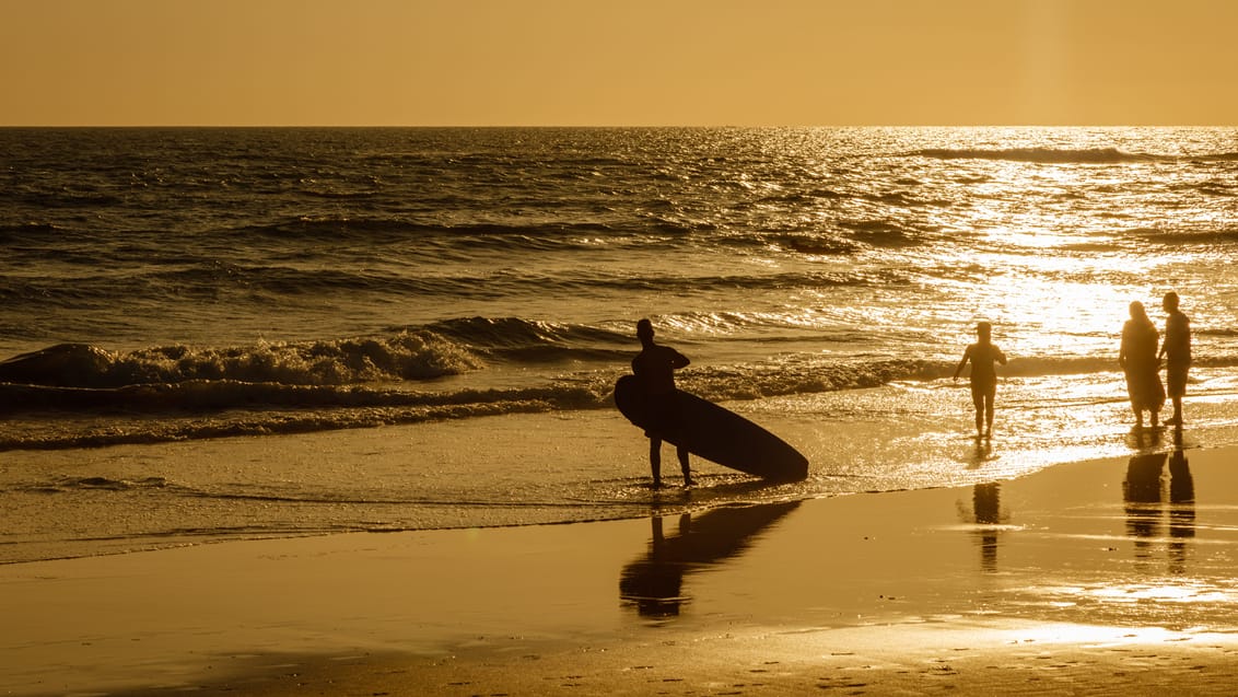 surf indonesien