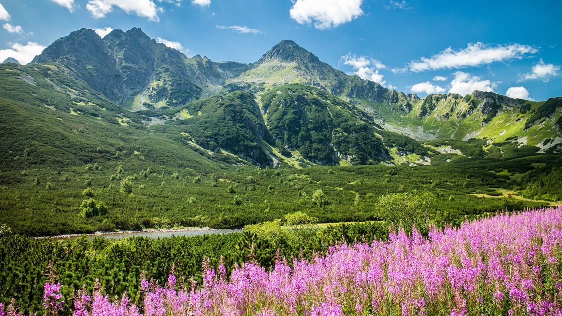 Trekking i Høje Tatrabjergene, Slovakiet