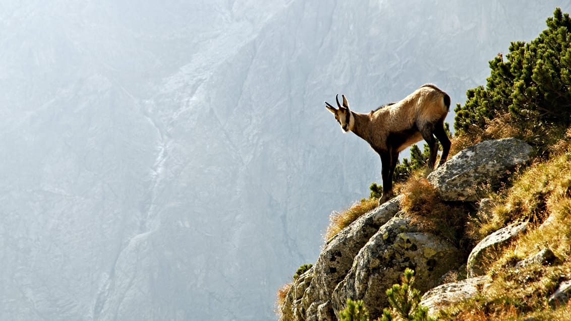 Trekking i Høje Tatrabjergene, Slovakiet