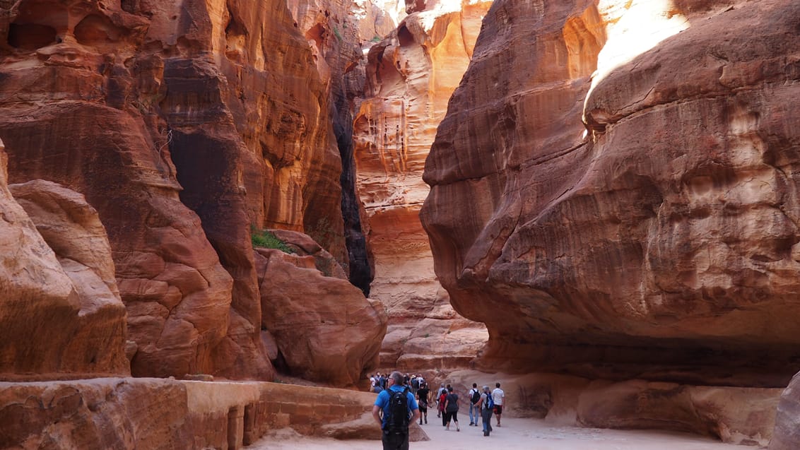 Trekking i Jordan - Petra