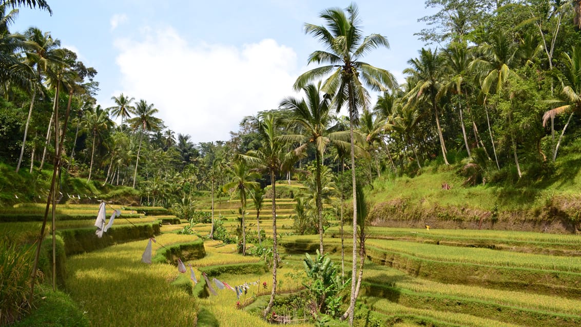 ubud