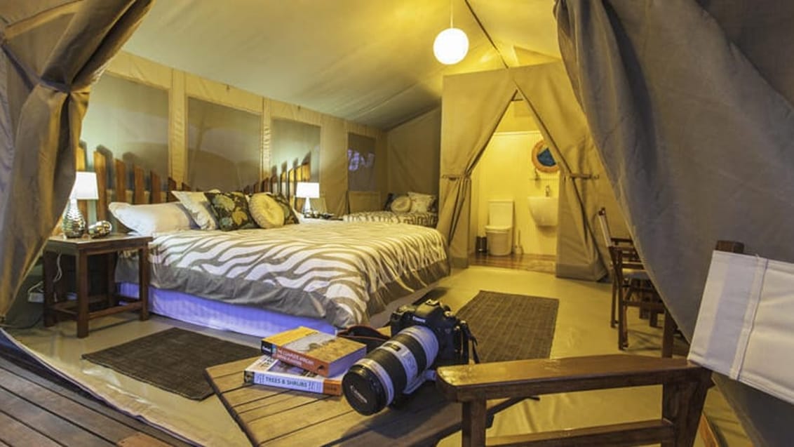 Oplev Nairobi og bo i telt midt i Nairobi