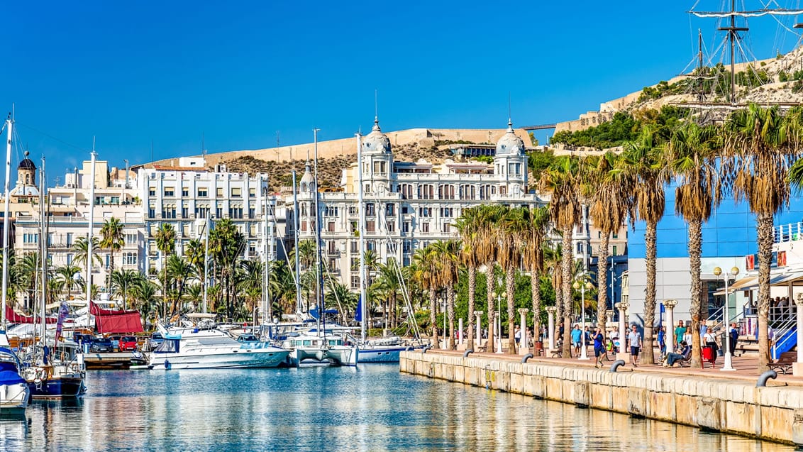 Alicante Marina