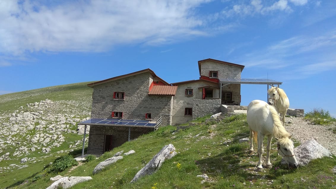 Astracas refugie, Vikos Nationalpark, Grækenland