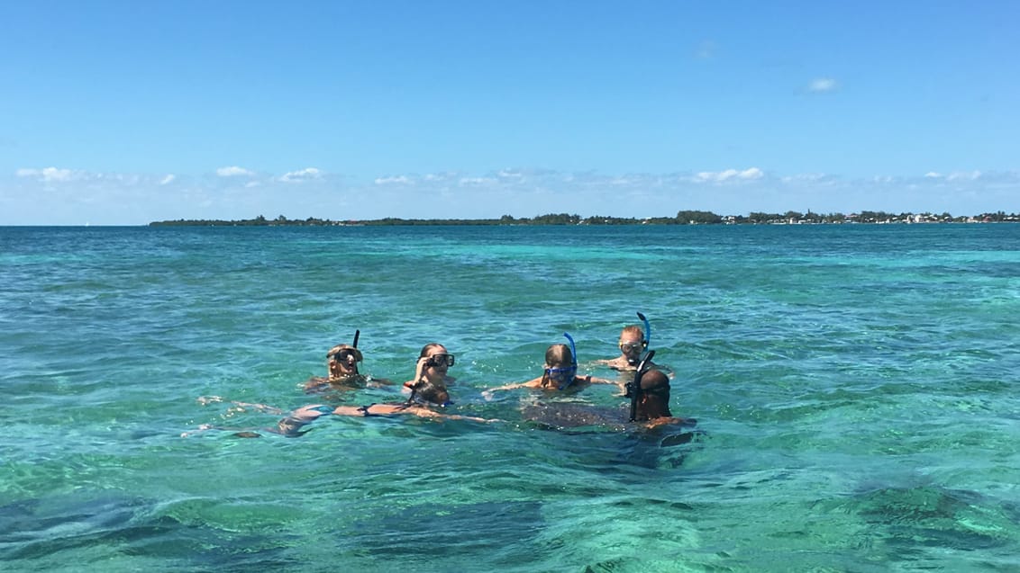 Belize Barrier Reef, Caye Culker, Belize