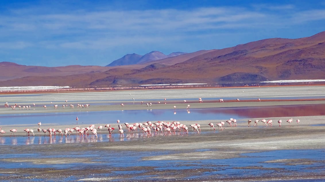 Bolivia, Salar de uyuni