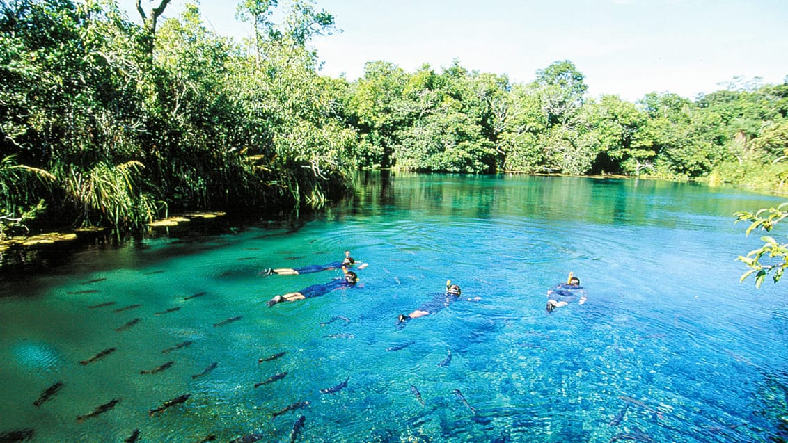 Bonito, Brasilien