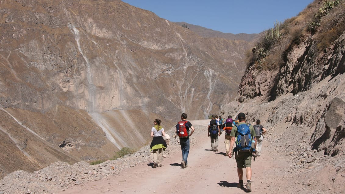 Colca Canyon, Peru