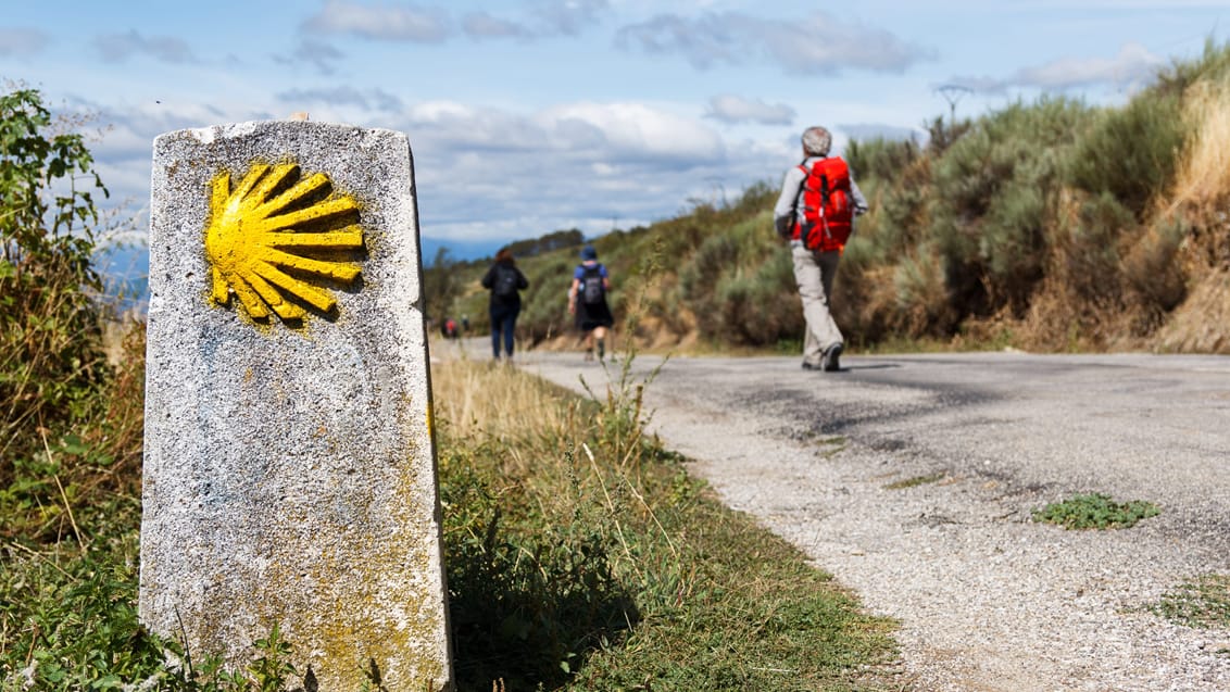 Den gule muslingskal som viser vej på Caminoen. Caminoen, Spanien