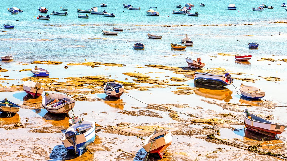 Fiskebåde ved stranden i Cadiz, Spanien