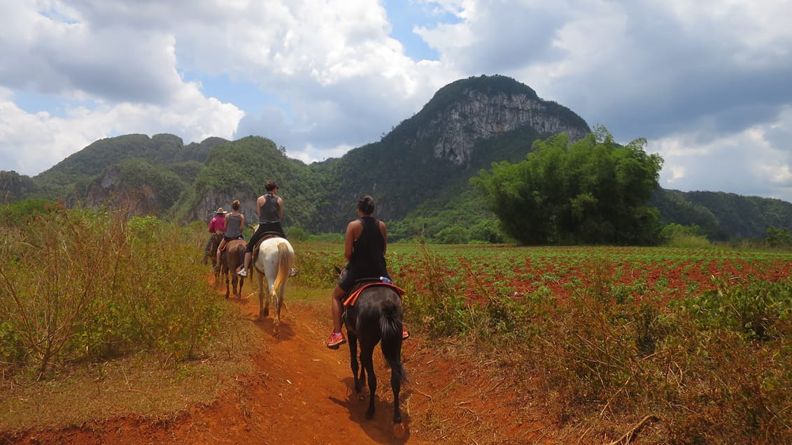 Hesteridning, Vinales, Cuba