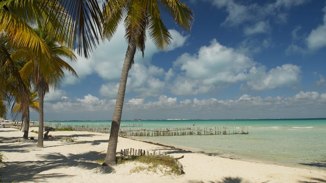 Strand på øen Isla Mujeres i Mexico