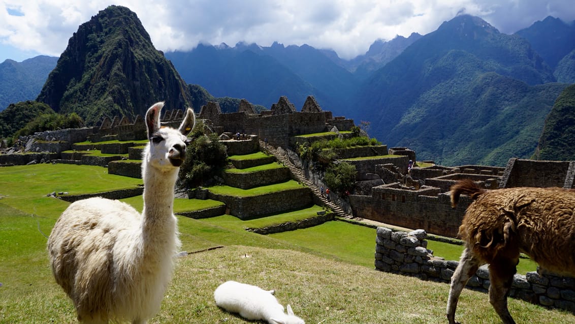 Machu Picchu, Peru