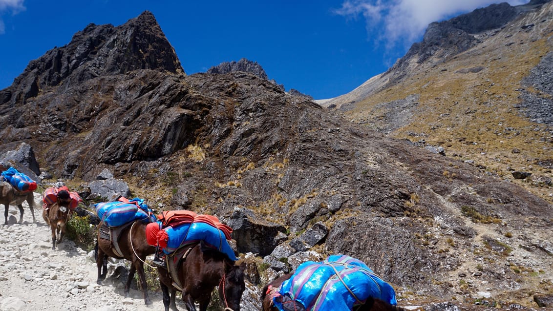 Peru trek