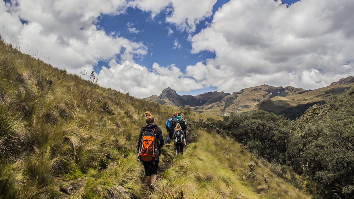 Peru gruppe