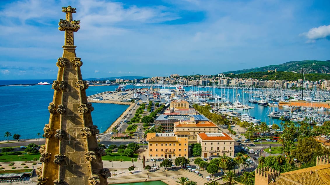 Udsigt over havneområdet i Palma, Mallorca, Spanien