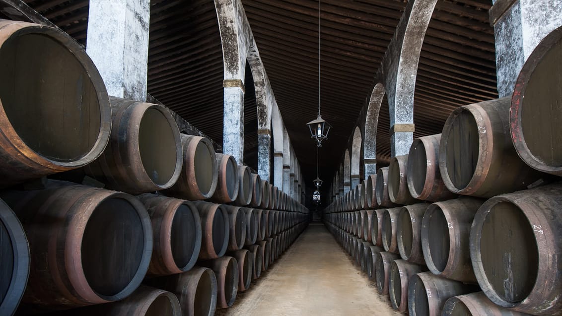 Prøv sherry vinsmagning i Jerez de la Frontera, Spanien