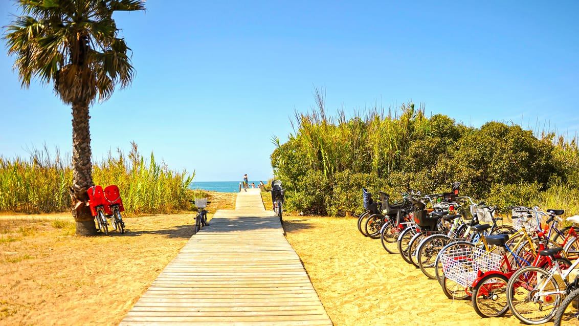 Tag cyklen rundt i byen og til stranden i Cadiz, Spanien