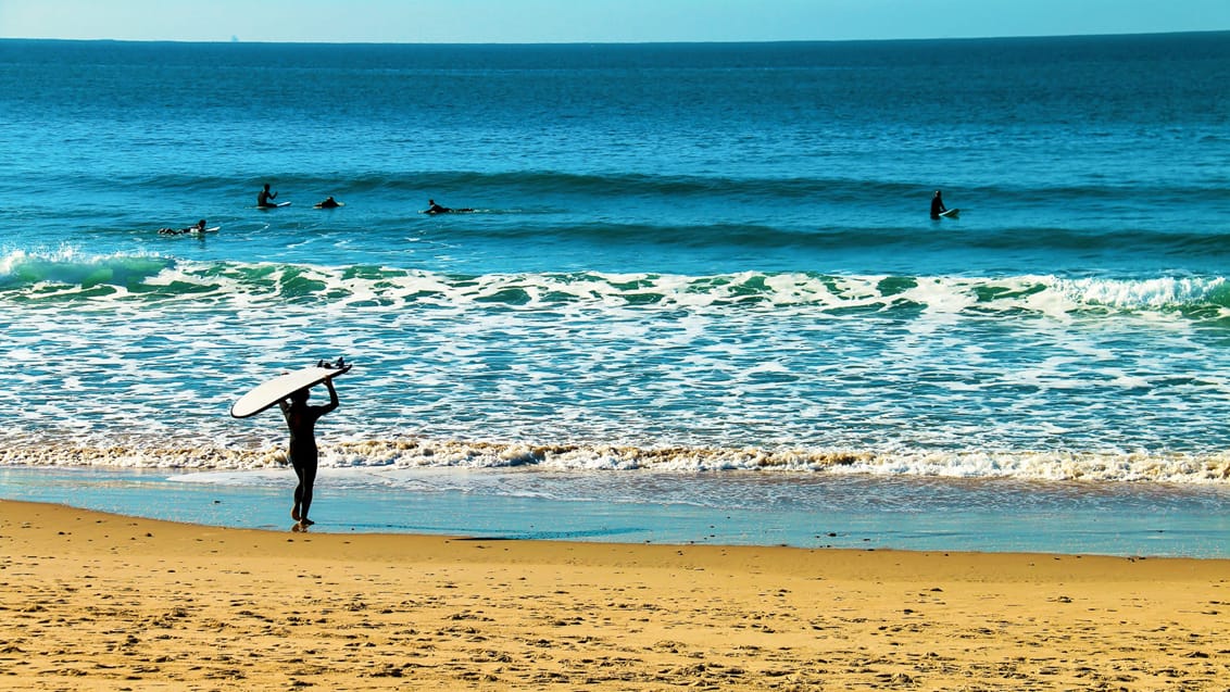 For vandhundene er surfing i Cadiz en oplagt akitvitet og mulighed