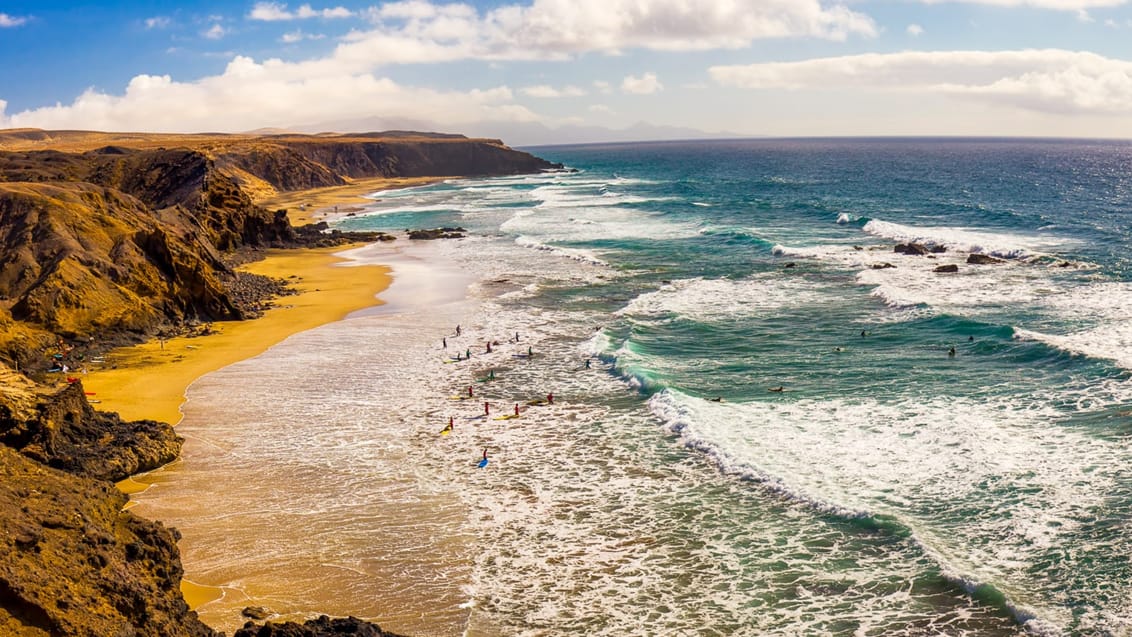 Fuerteventura giver rigtig gode forhold for både begyndere og øvede surfere
