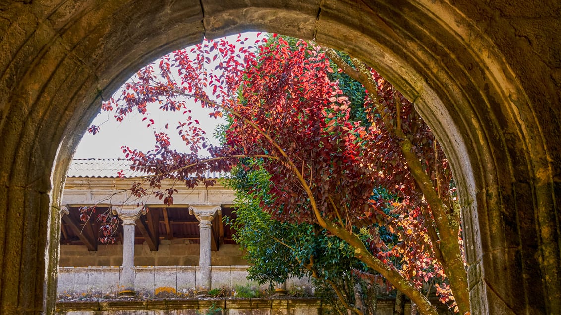 camino portugal