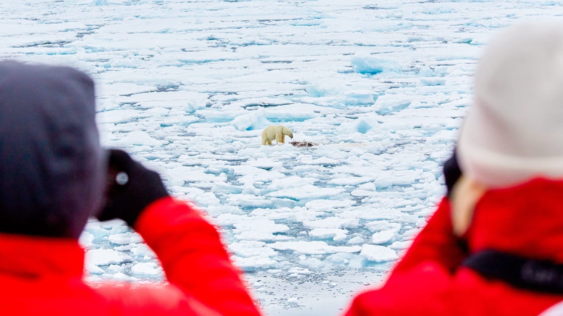 Tag med Jysk Rejsebureau på eventyr til Svalbard