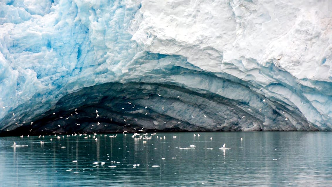 Tag med Jysk Rejsebureau på eventyr til Svalbard