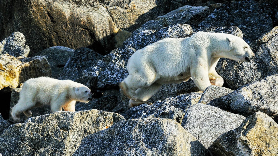 Tag med Jysk Rejsebureau på eventyr til Svalbard