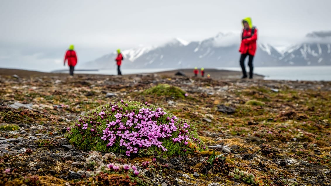 Tag med Jysk Rejsebureau på eventyr til Svalbard