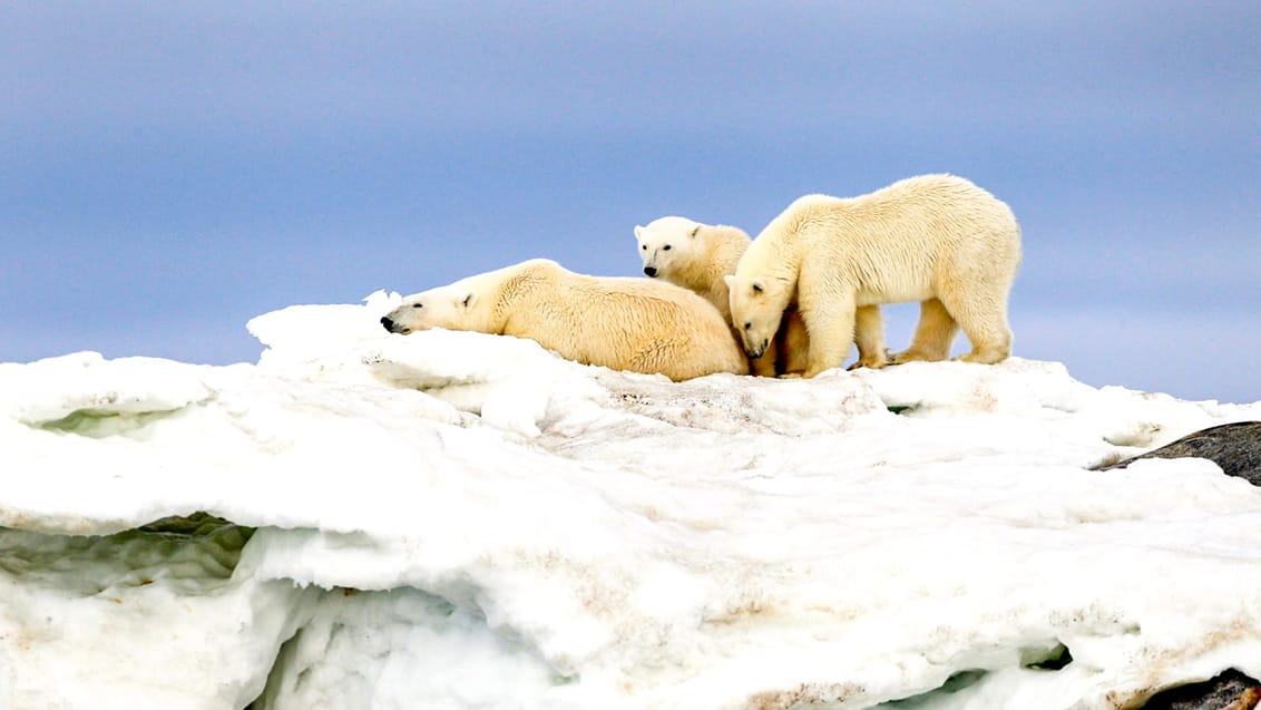 Tag med Jysk Rejsebureau på eventyr til Svalbard